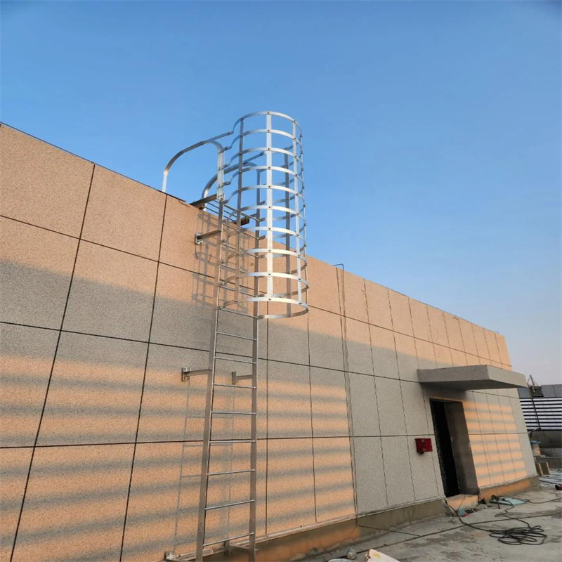 Кровельные лестницы для технического обслуживания (2)